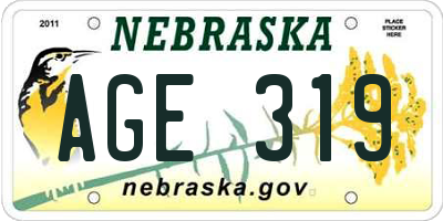 NE license plate AGE319