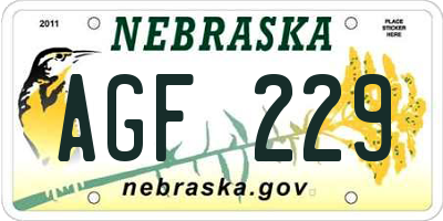 NE license plate AGF229