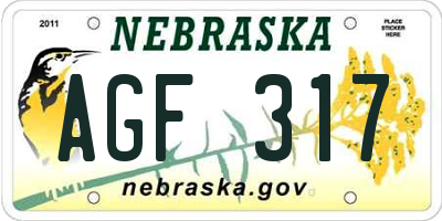NE license plate AGF317