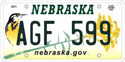 NE license plate AGF599