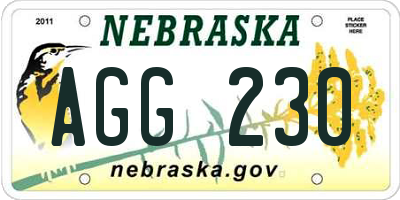 NE license plate AGG230