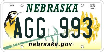 NE license plate AGG993