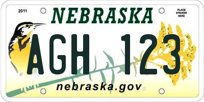 NE license plate AGH123
