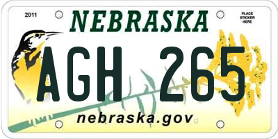 NE license plate AGH265