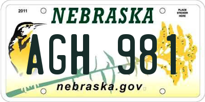 NE license plate AGH981