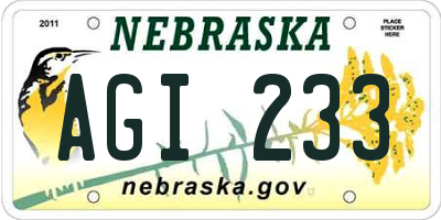 NE license plate AGI233