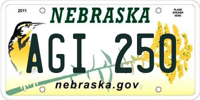 NE license plate AGI250