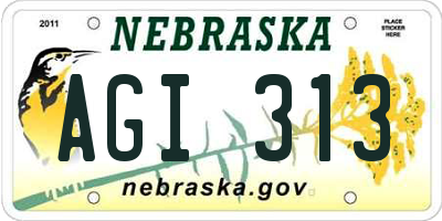 NE license plate AGI313