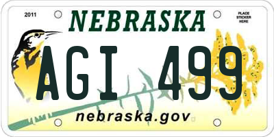 NE license plate AGI499
