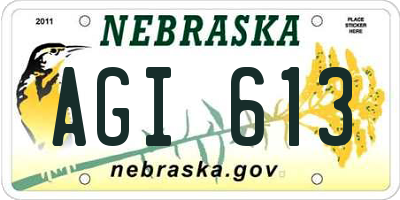 NE license plate AGI613