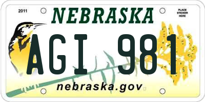 NE license plate AGI981