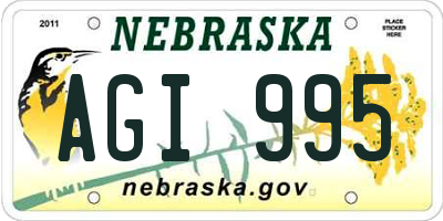 NE license plate AGI995