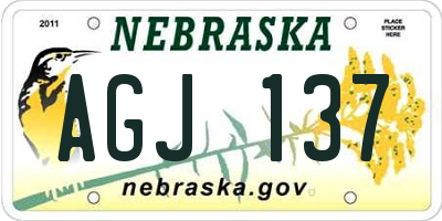 NE license plate AGJ137