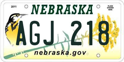 NE license plate AGJ218