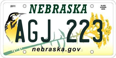 NE license plate AGJ223