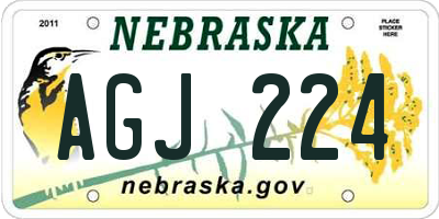 NE license plate AGJ224