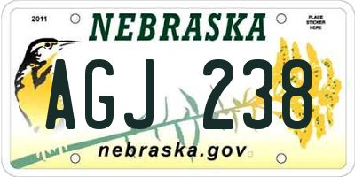 NE license plate AGJ238