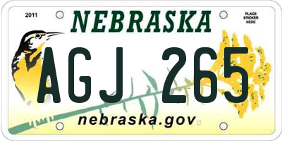 NE license plate AGJ265