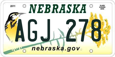 NE license plate AGJ278