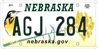 NE license plate AGJ284