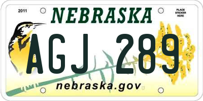 NE license plate AGJ289