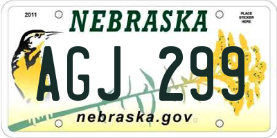 NE license plate AGJ299