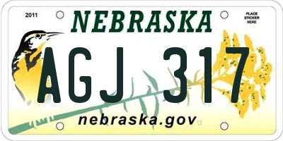 NE license plate AGJ317