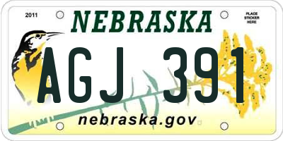 NE license plate AGJ391