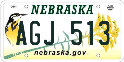 NE license plate AGJ513