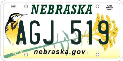 NE license plate AGJ519