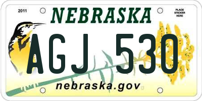 NE license plate AGJ530