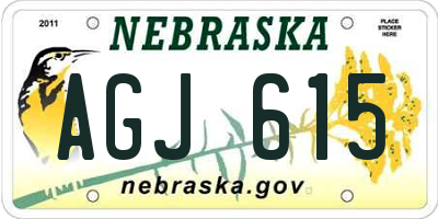NE license plate AGJ615