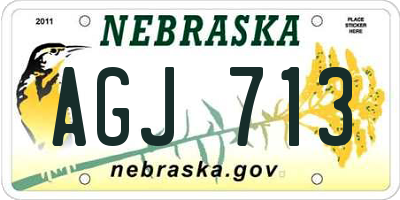 NE license plate AGJ713