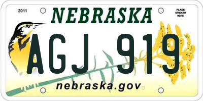 NE license plate AGJ919