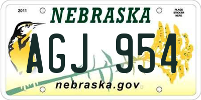 NE license plate AGJ954