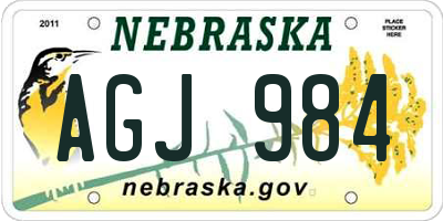 NE license plate AGJ984
