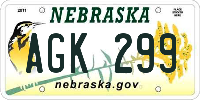 NE license plate AGK299