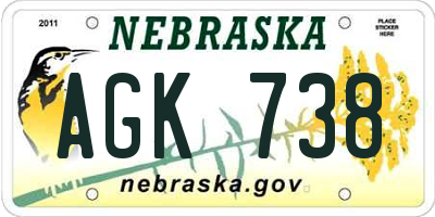NE license plate AGK738