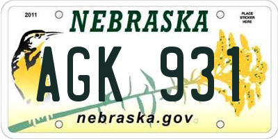 NE license plate AGK931