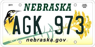 NE license plate AGK973
