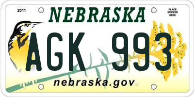 NE license plate AGK993