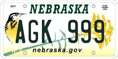 NE license plate AGK999