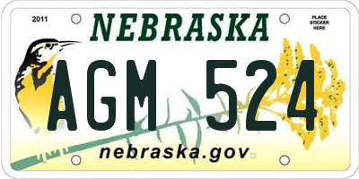 NE license plate AGM524