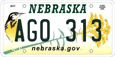 NE license plate AGO313