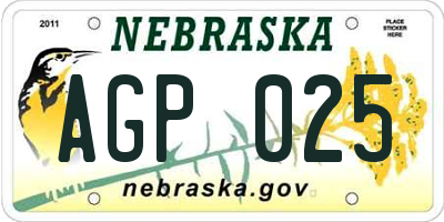 NE license plate AGP025