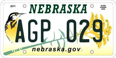 NE license plate AGP029