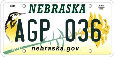 NE license plate AGP036