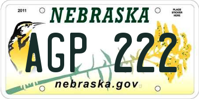 NE license plate AGP222