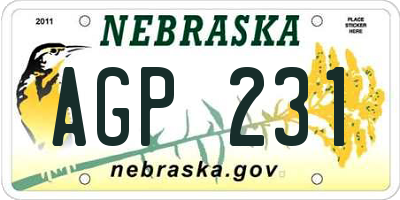 NE license plate AGP231