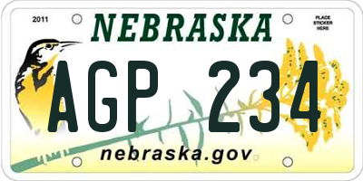 NE license plate AGP234